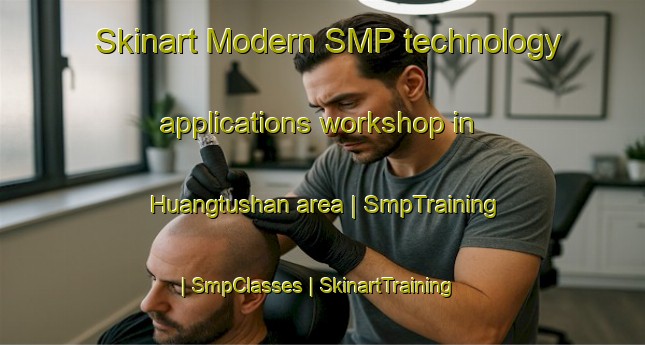 Skinart Modern SMP technology applications workshop in Huangtushan area | SmpTraining | SmpClasses | SkinartTraining-China